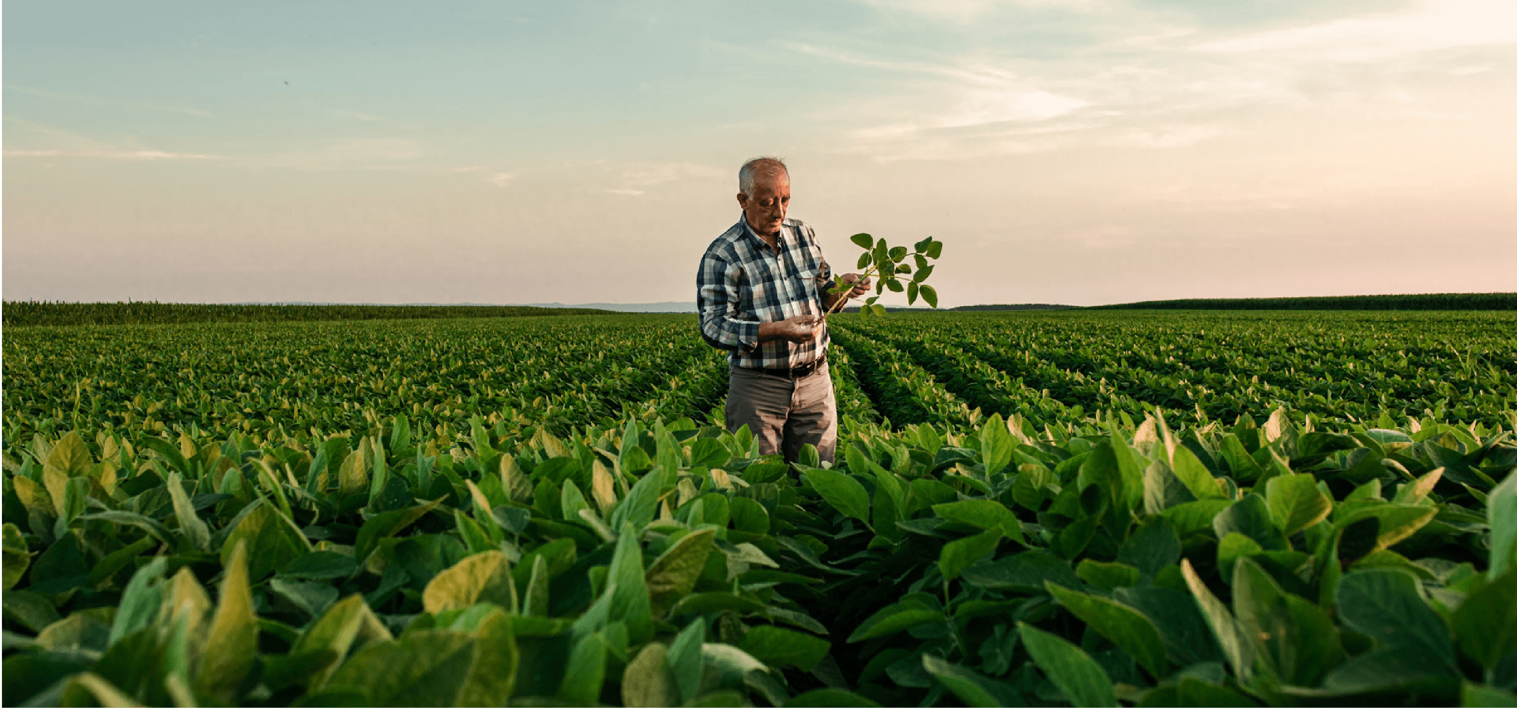 Smart Consumer & Retail Products