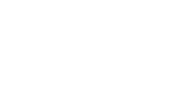 Ponte d'Oriente
